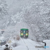 雪の樽見鉄道④