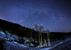 古木を照らす天の川