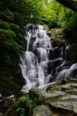 滝