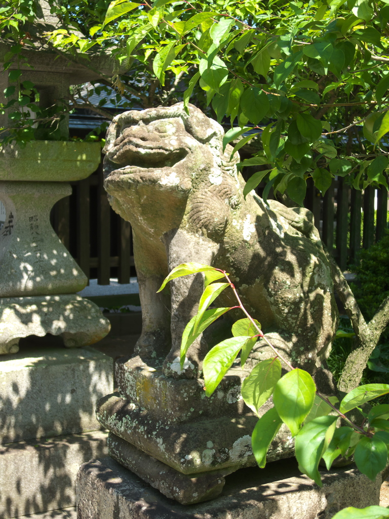 日光浴