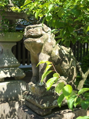 日光浴