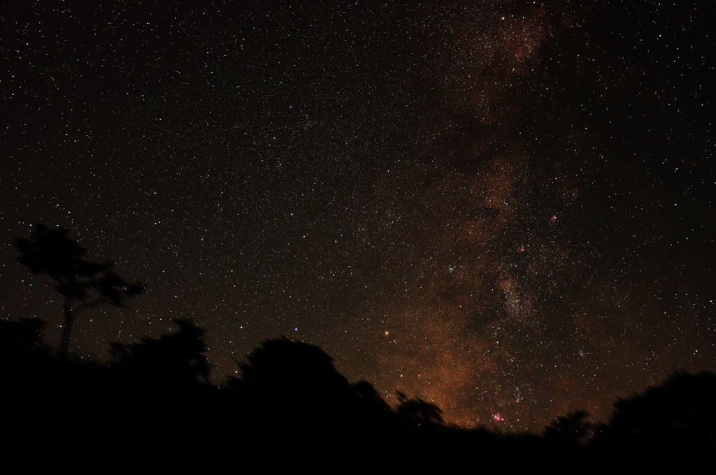 南の星空