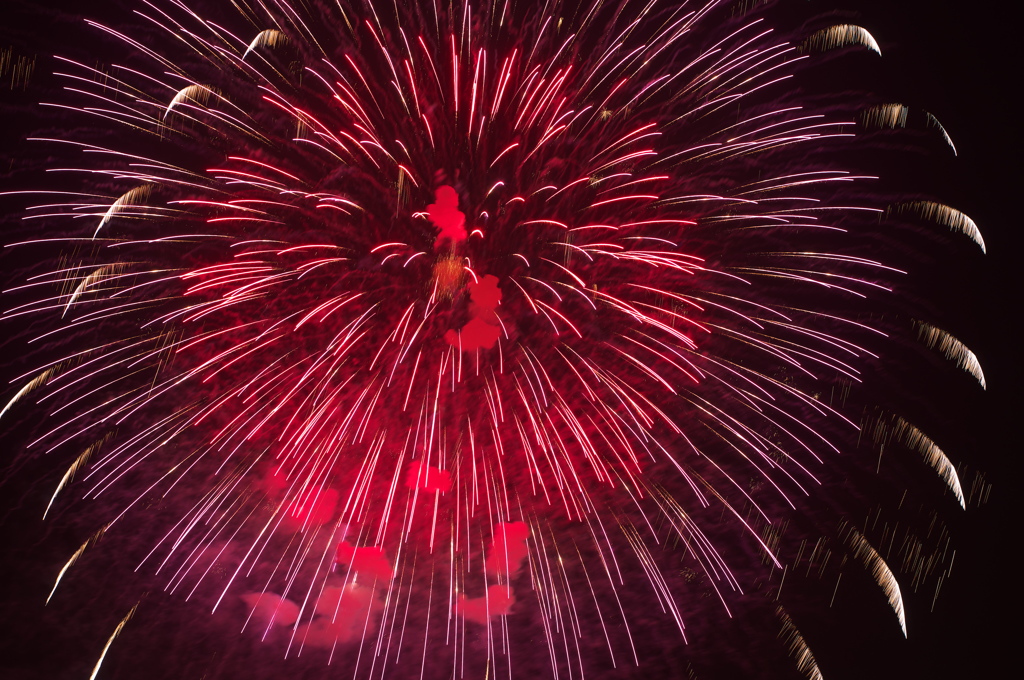 花火 (1)