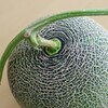 melon