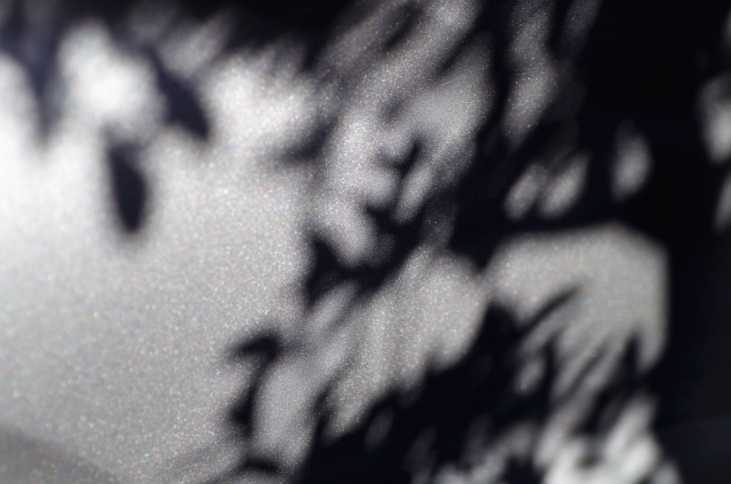 Light and shadow-222