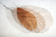 overlap effect-398