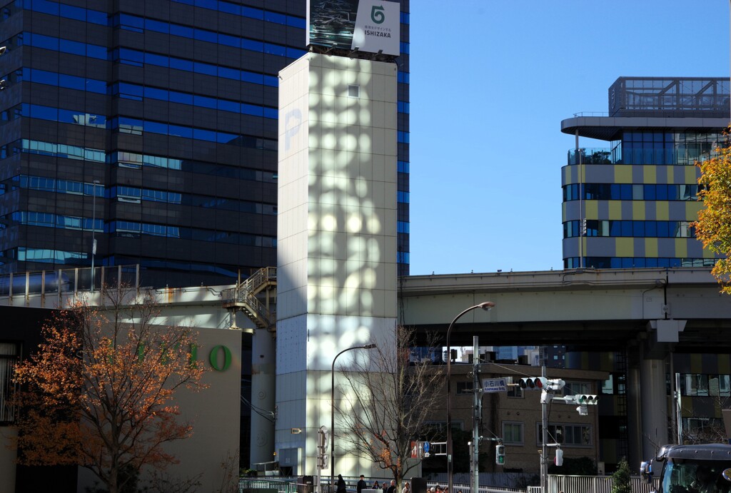 Light and shadow-854