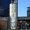 Light and shadow-854