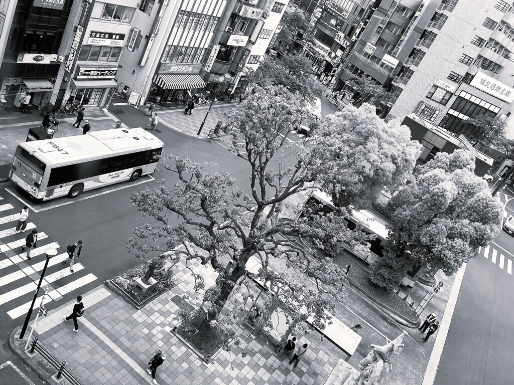 駅前広場