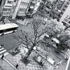 駅前広場