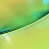 Reflection-233