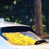 Reflection-495
