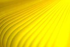line-24