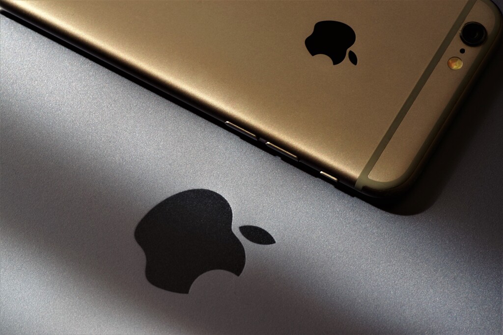 Light and shadow-471