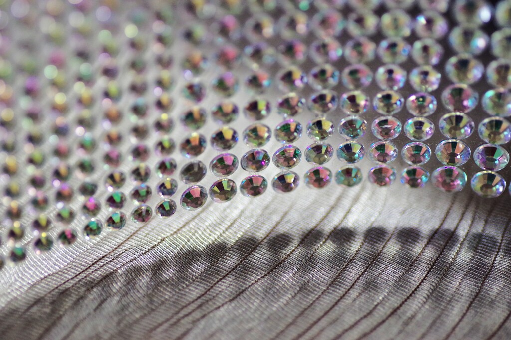 Light and shadow-934