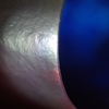 Light and shadow-177
