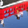 春の池面-2