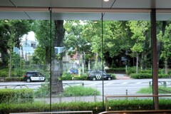 GO and Uber Taxi GO and Uber Taxi