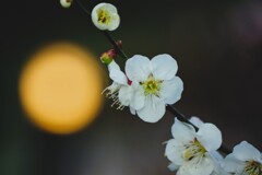 和-2