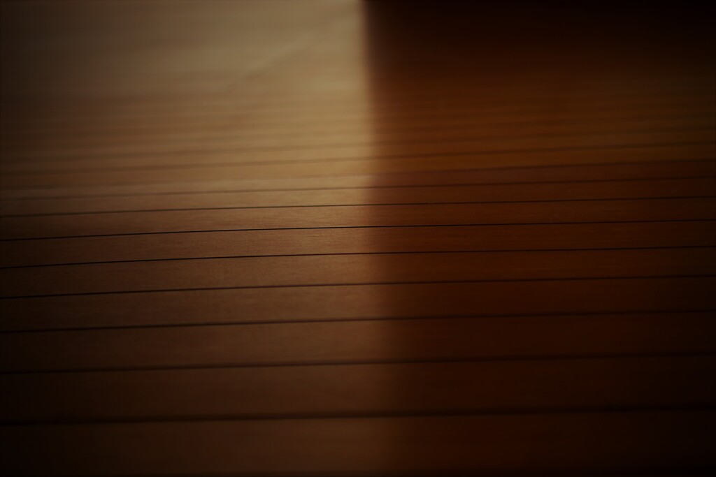 Light and shadow-510