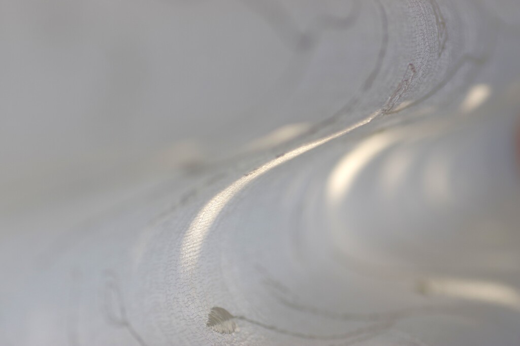 Light and shadow-882