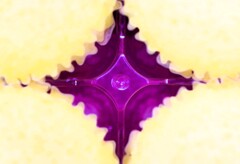 overlap effect-453