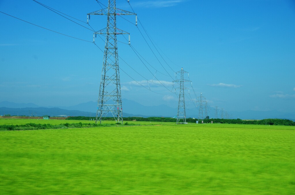 夏の田んぼと送電線