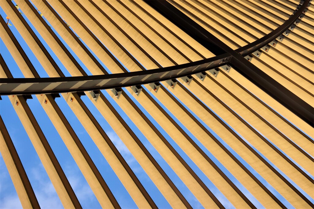 Light and shadow-548