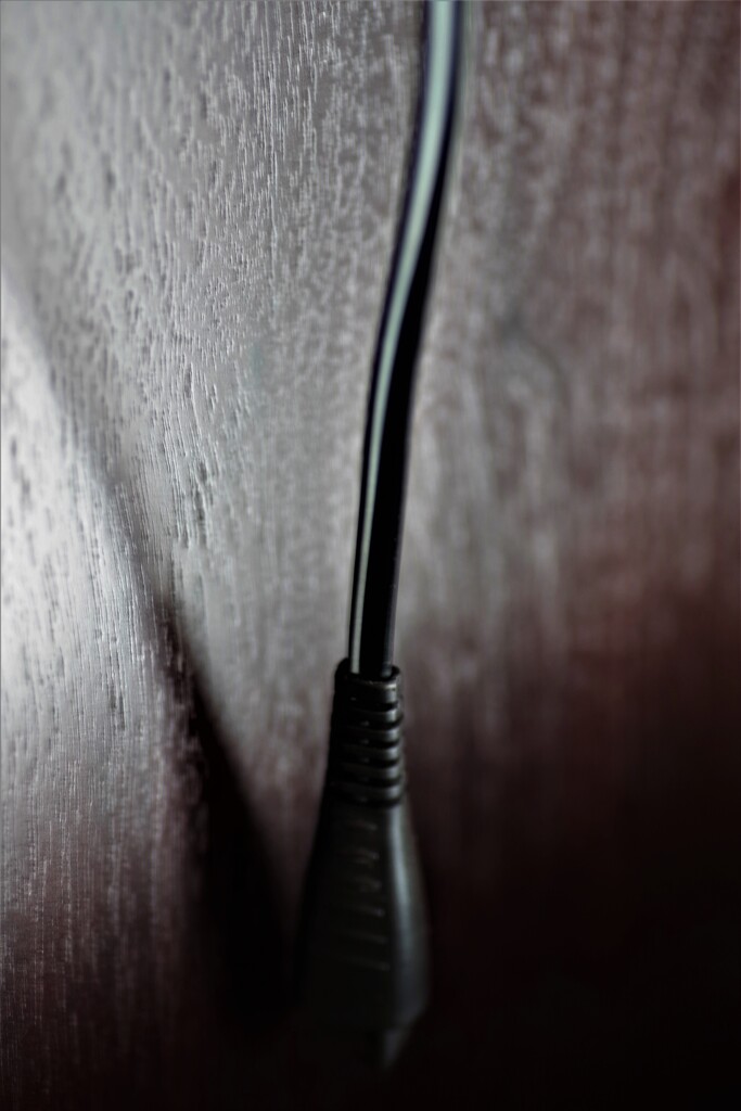 Light and shadow-466