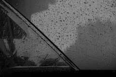 Reflection-254
