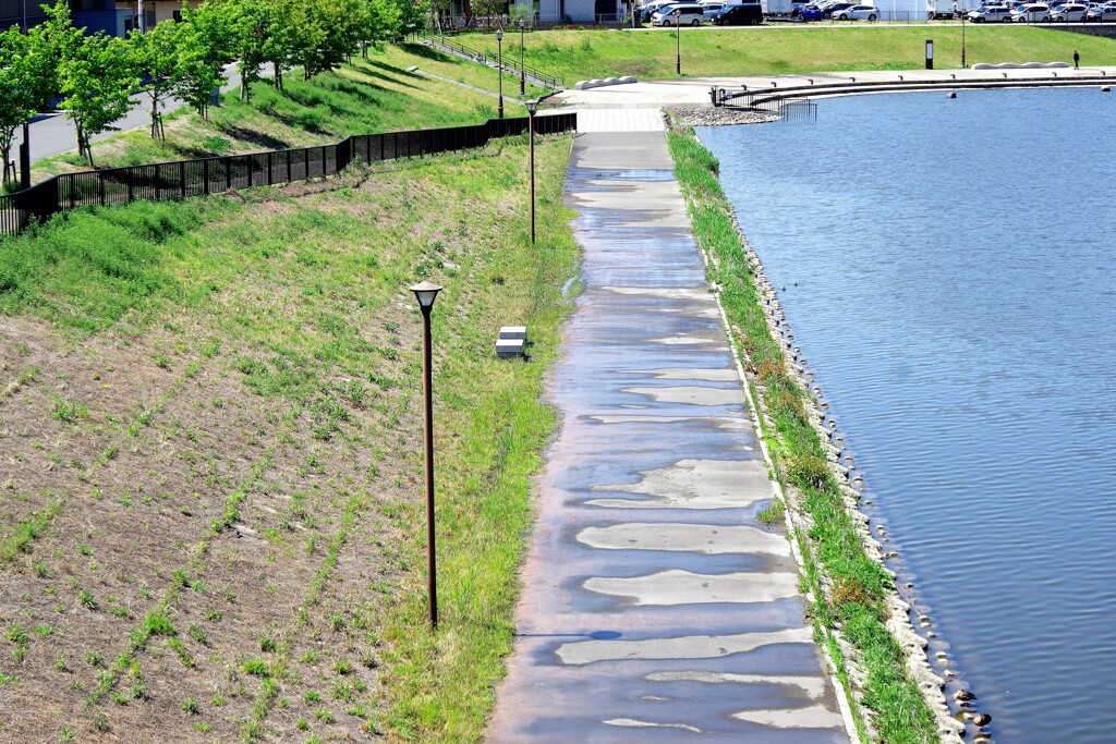 池辺の遊歩道-1