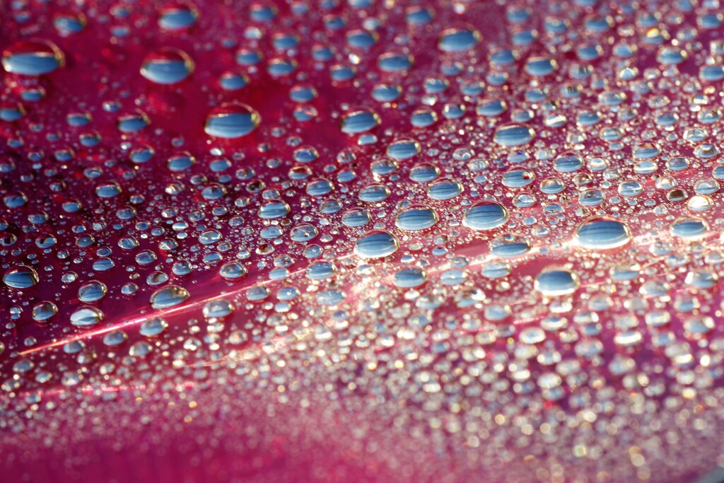 すいてきのせかい-96