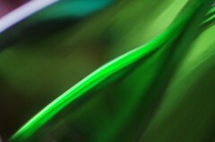 グリーンのせかい-3