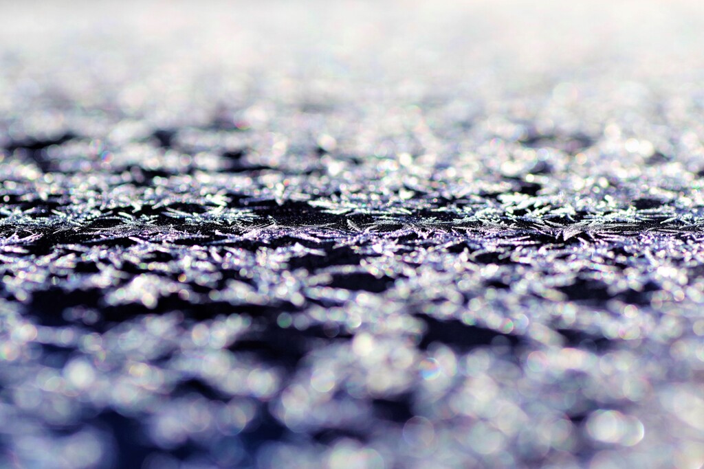 frost-2