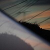 Reflection-338