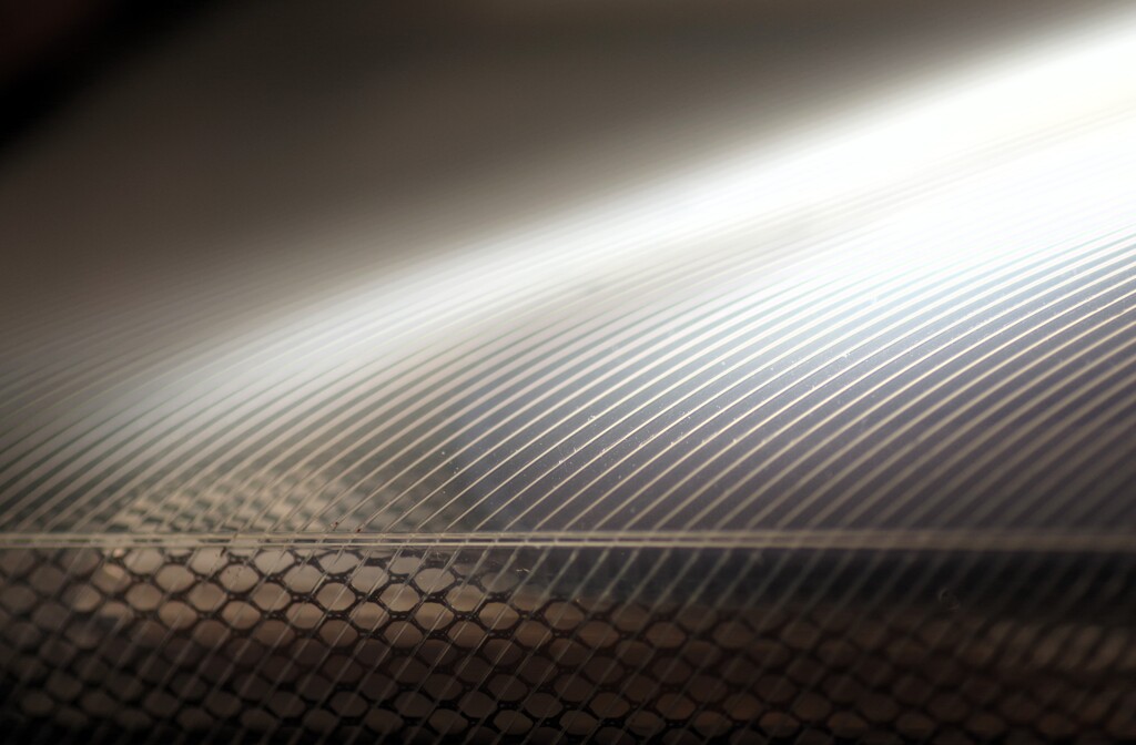 Light and shadow-762