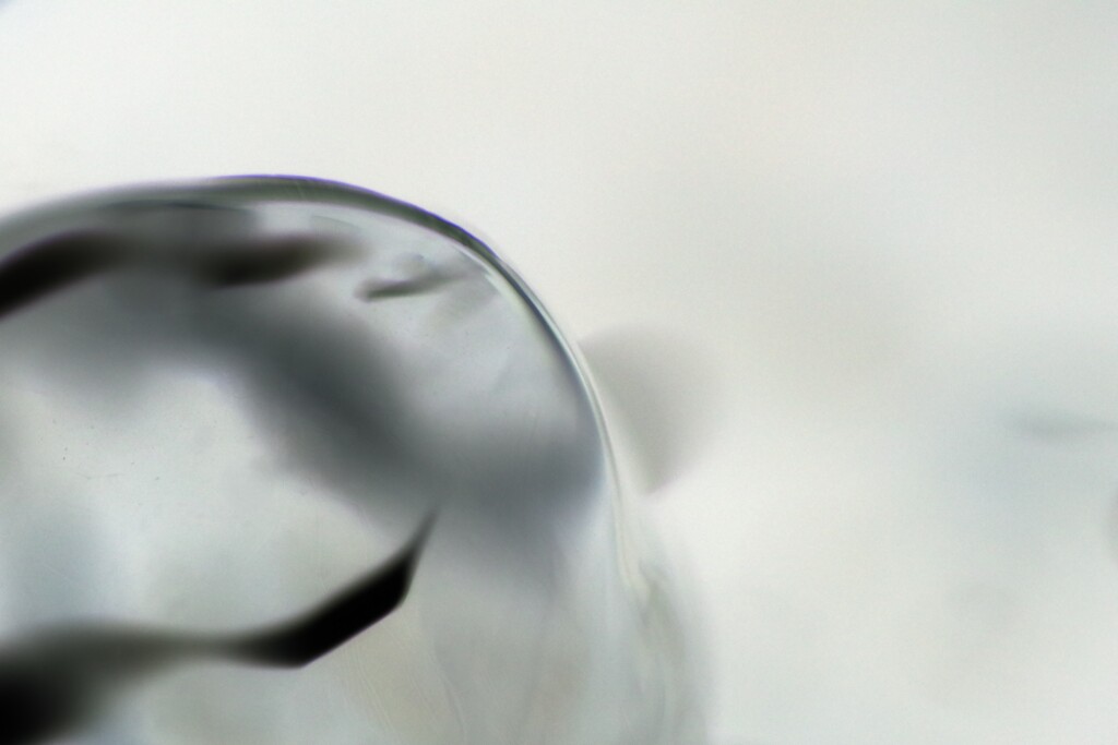 氷のせかい rverse