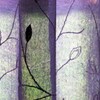 Light and shadow-413
