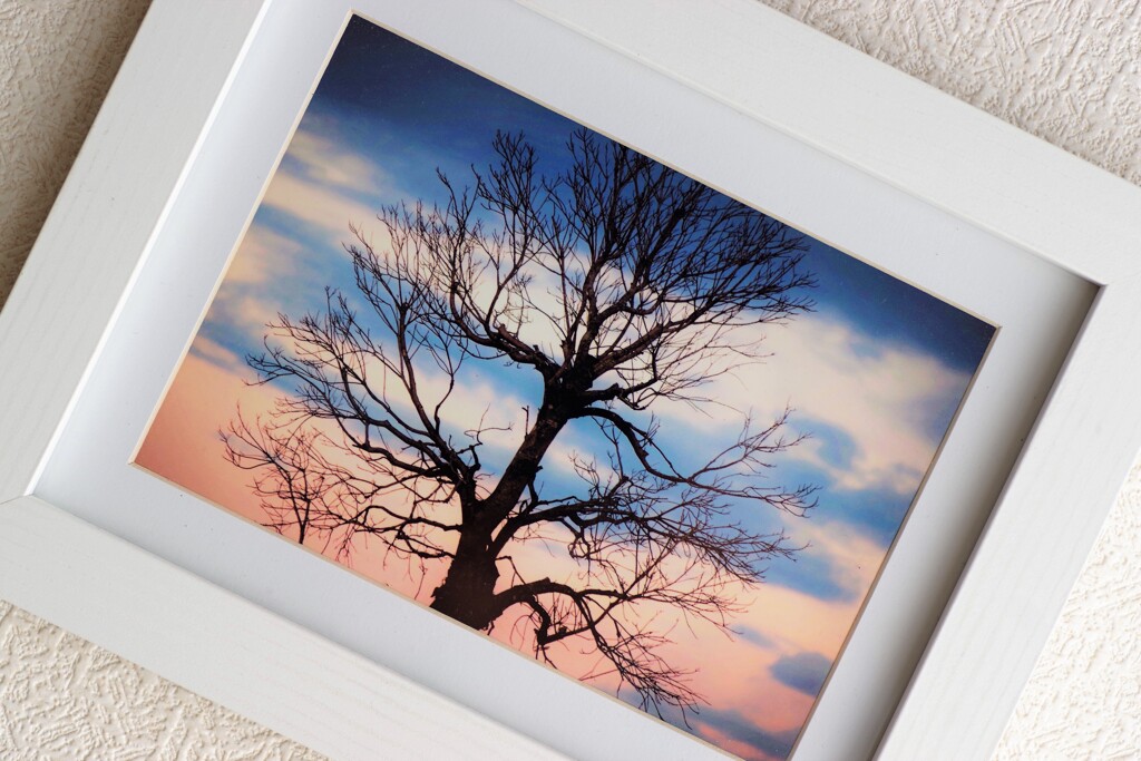 フォトフレームに入れてみた-7