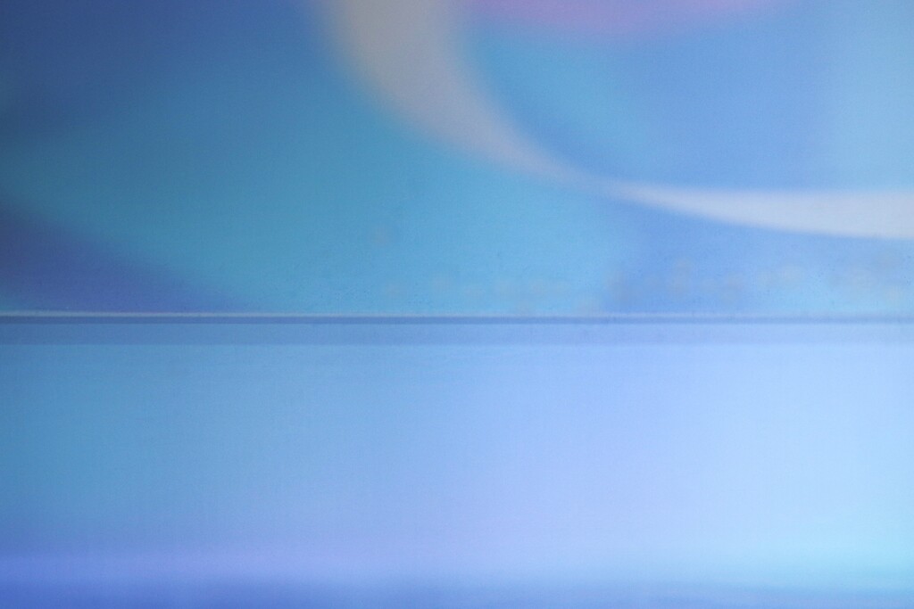 Reflection-556