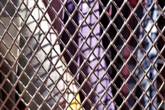 Light and shadow-580