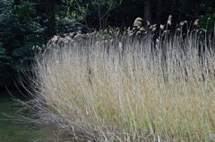 春の陽射しに包まれて...