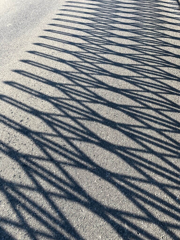 Light and shadow-926