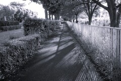 Light and shadow-902