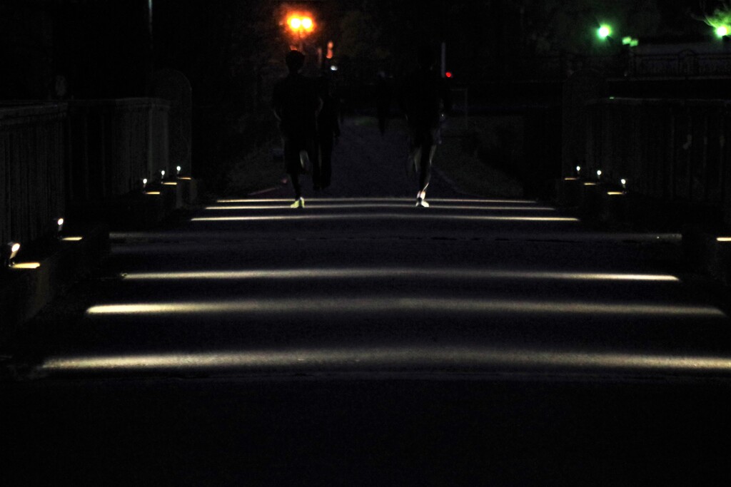 Light and shadow-551