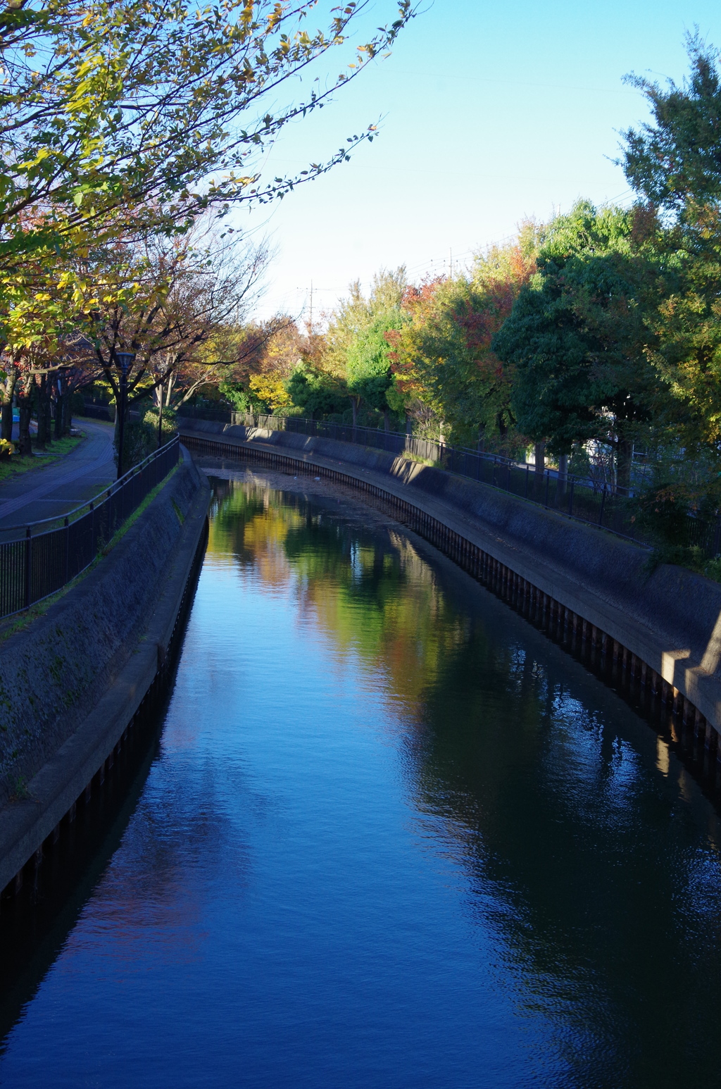 逆川緑の道 秋-2