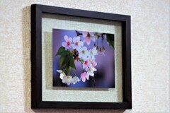 フォトフレームに入れてみた-10