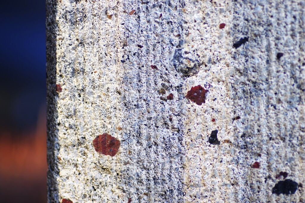 Light and shadow-763