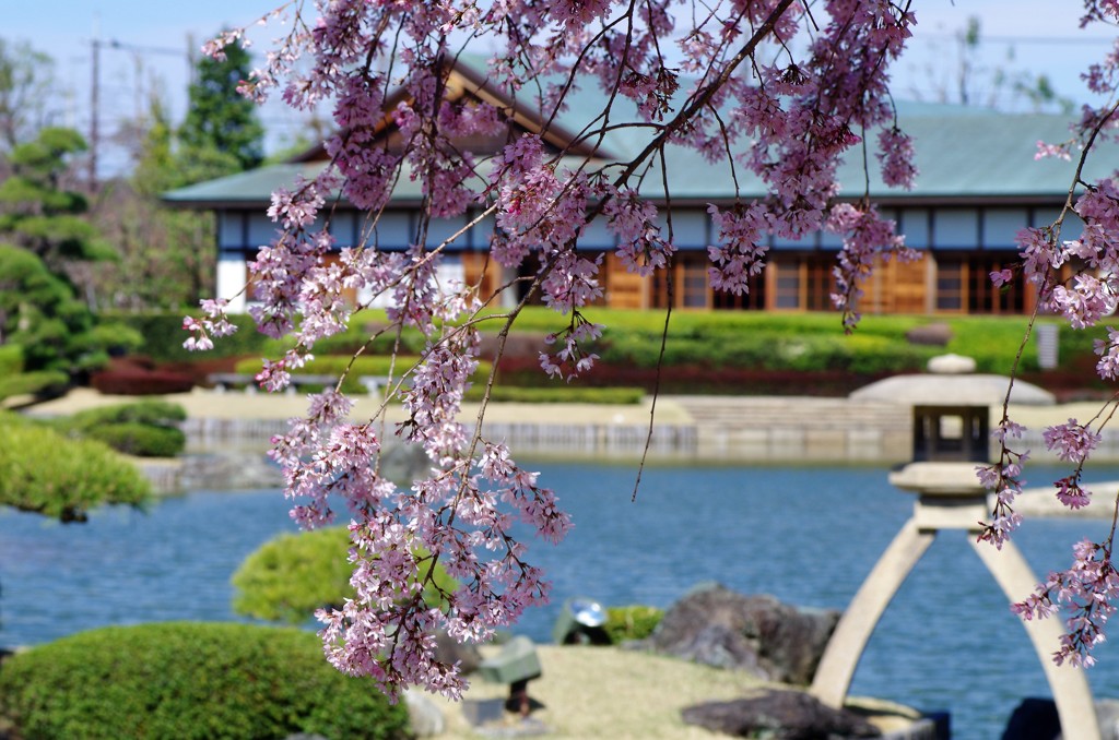 春の庭園-1