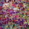 里山の紅葉-6